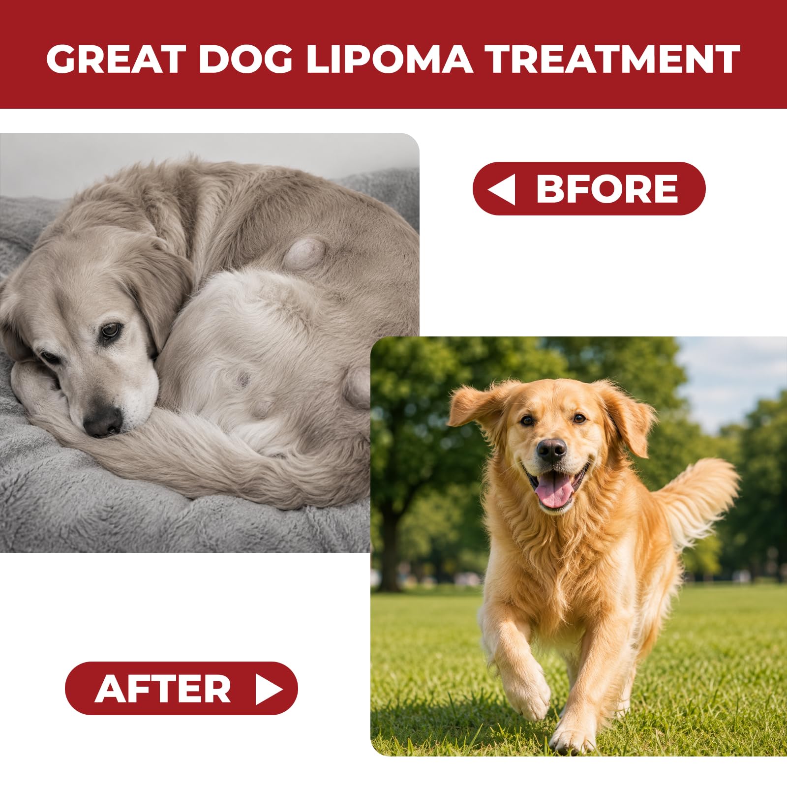 Herbal Lipoma Support for Dogs – Reduce Bumps，Lipoma，Promotes Healthy Fat Metabolism，Tissue，Immune & Skin Support，Pain Relief，with Turkey Tail Mushroom+L-Carnitine, Safe for All Breeds，Chicken，120 Tab — Amazon image 5