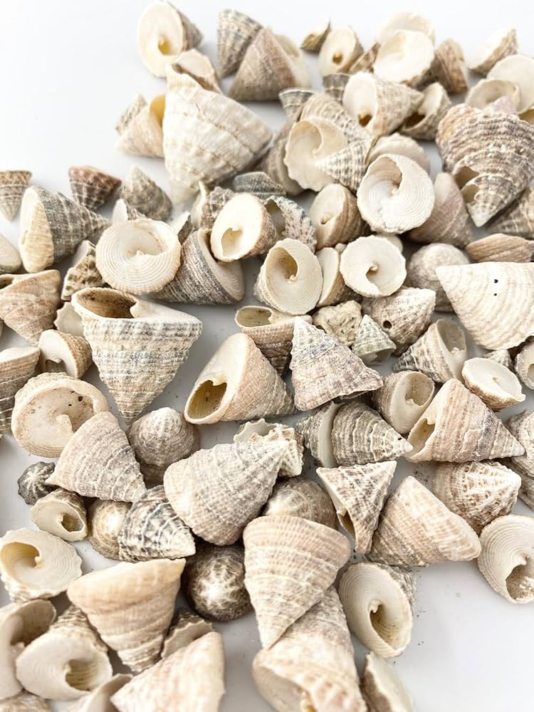 ⬛️ハンドメイド用のメジャー付き★カラフルビーズ、ハンドメイドの貝殻、ネックレス ⬛️ハンドメイド用のメジャー付き☆カラフルビーズ