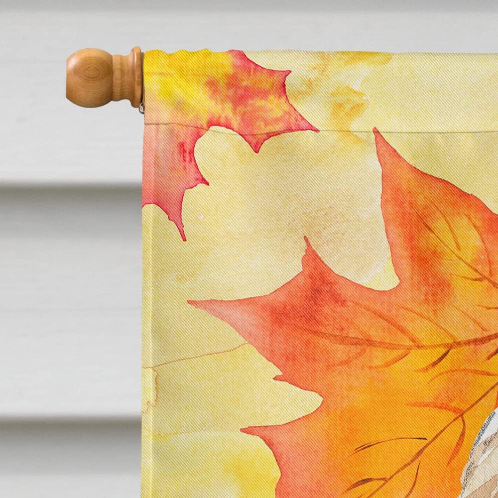 Caroline's Treasures CK1842CHF Fall Leaves Goldendoodle House Flag Large Porch Sleeve Pole Decorative Outside Yard Banner Artwork Wall Hanging, Polyester, House Size, Multicolor