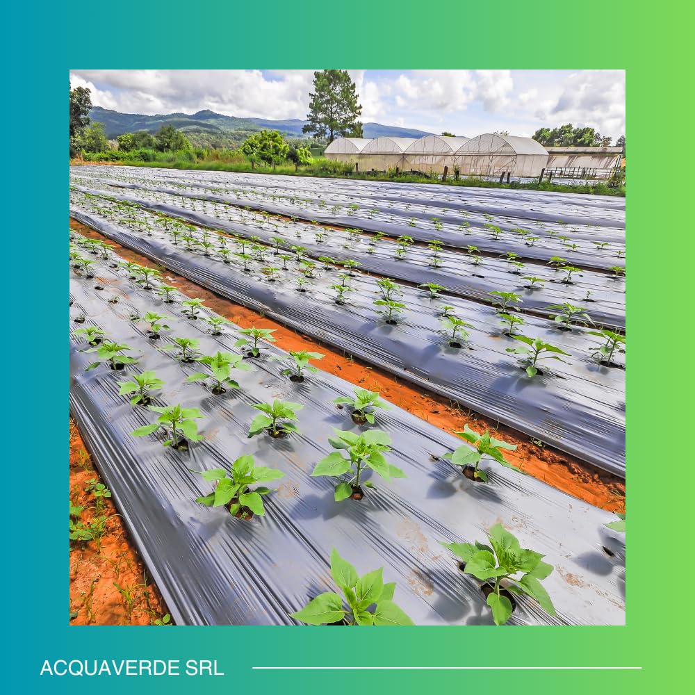 acquaverde | Telo Pacciamatura Antierbacce in Polietilene, Film Pacciamante Nero, Professionale, per Giardinaggio, Orto, Protezione Contro Erbacce, Resistente, Impermeabile (1 x 200 m = 200 m²)