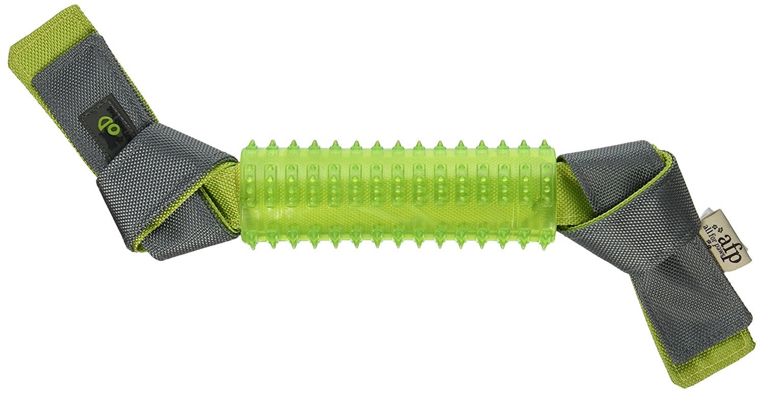 Buy All for Paws Outdoor Dog Ballistic TPR Stick Dog Toy Online at Low