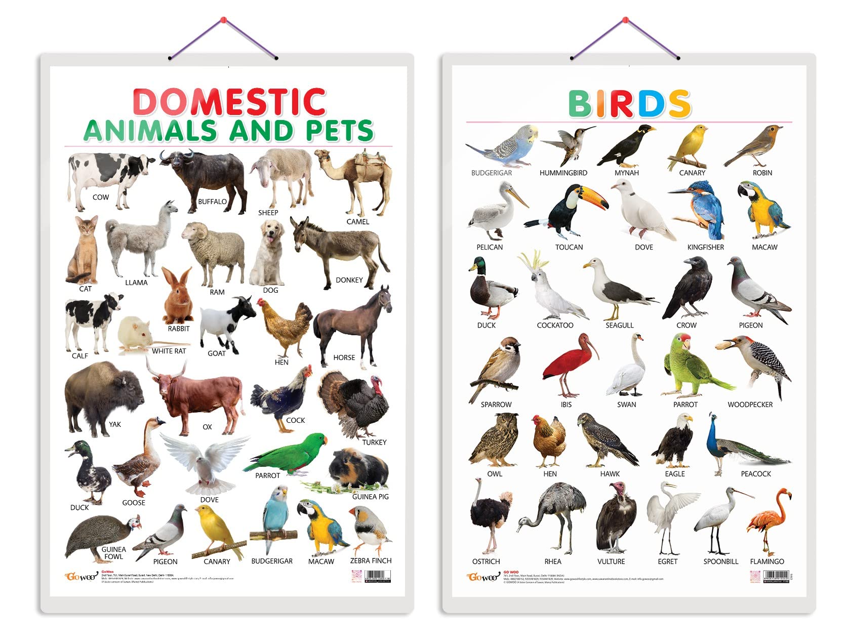 Buy Set of 2 Domestic Animals and Pets and Birds Early Learning ...