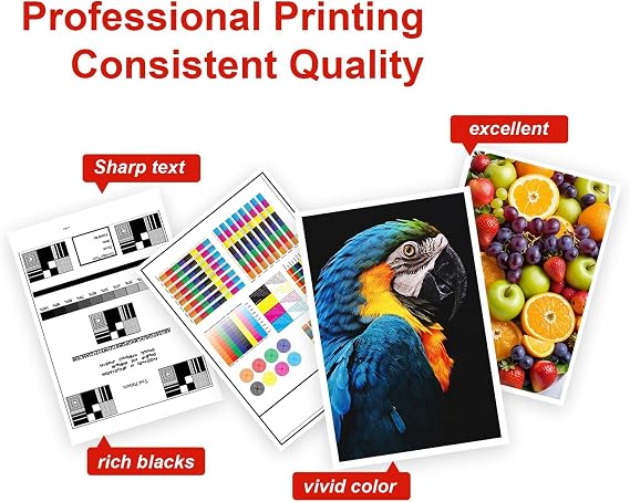 PG-295XL CL-286XL PG-295XXL CL-286XXL High Yield Ink Cartridges (2-Pack)