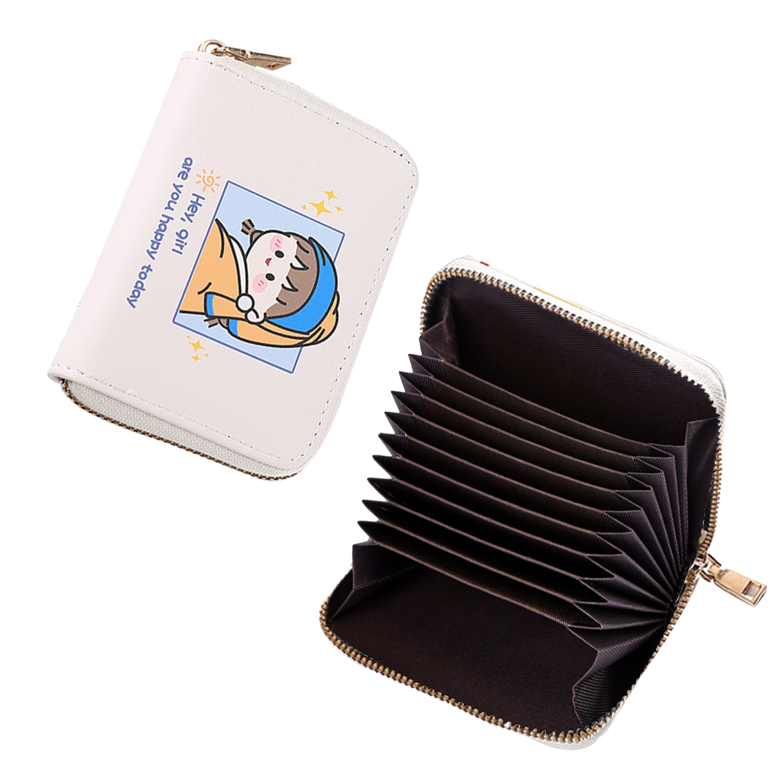 kraptick Card Holder for Women - Elegant and Versatile Card Organizer, Credit Cardholder, Card Case, Card Pouch (Light Blue)-picture-44