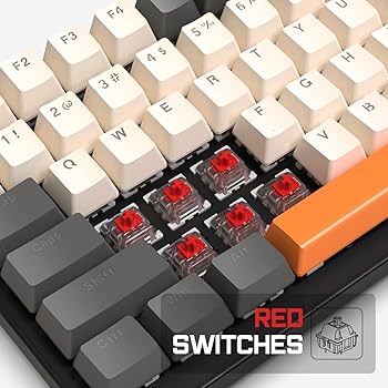 kiyo❤️ Amazon.com: ZIYOULANG K3 Mechanical Gaming Keyboard and