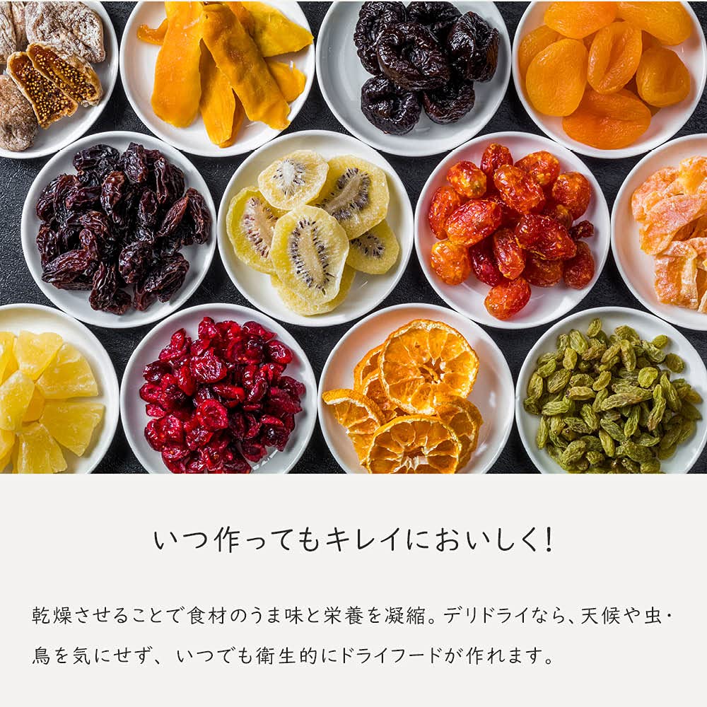 Amazon.co.jp: 食品乾燥機 デリドライ DELIDRY 黒 ブラック 100V PY 