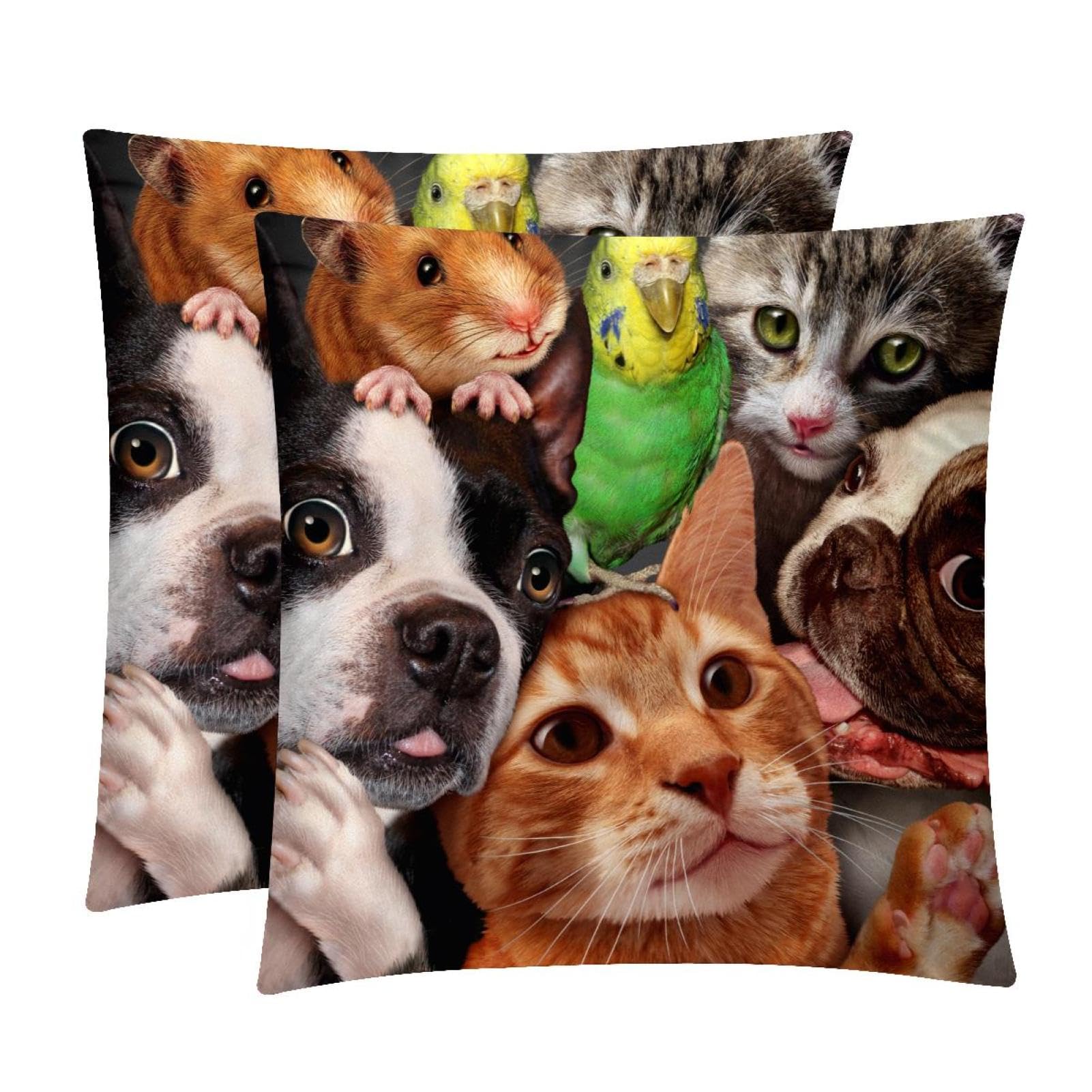TDGKPZ Dogs Cats Birds Throw Pillow Covers 2 Pack Cushion Cases Decorative Pillow Cases Home Decor 40x40cm