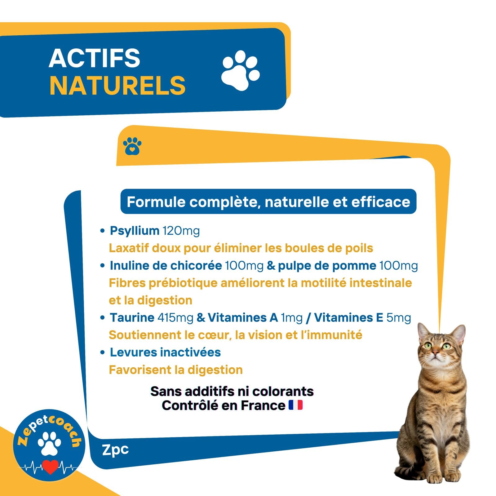 Complément Chat Anti Boules de Poils – Trichobézoards – Transit et Digestion Optimale – Constipation – Psyllium, Taurine, Chicorée – Naturel, Saveur Volaille – 250g