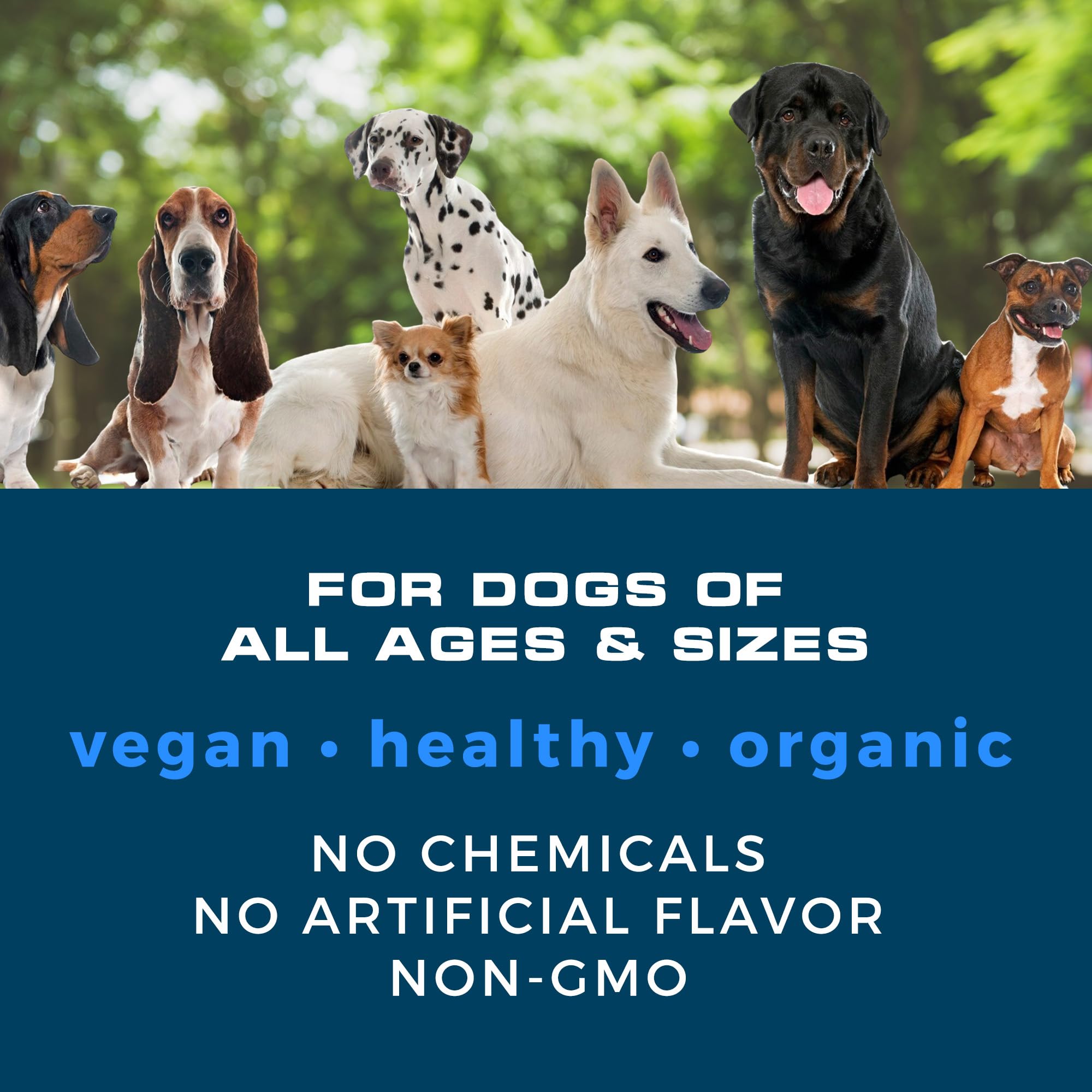 Probiotics for Dogs | Soft Chews with Digestive Enzymes, Pumpkin & Prebiotics | Supports Gut Health, Immunity, Stool Quality & Nutrient Absorption | Peanut Flavor, 90 Count - image 6