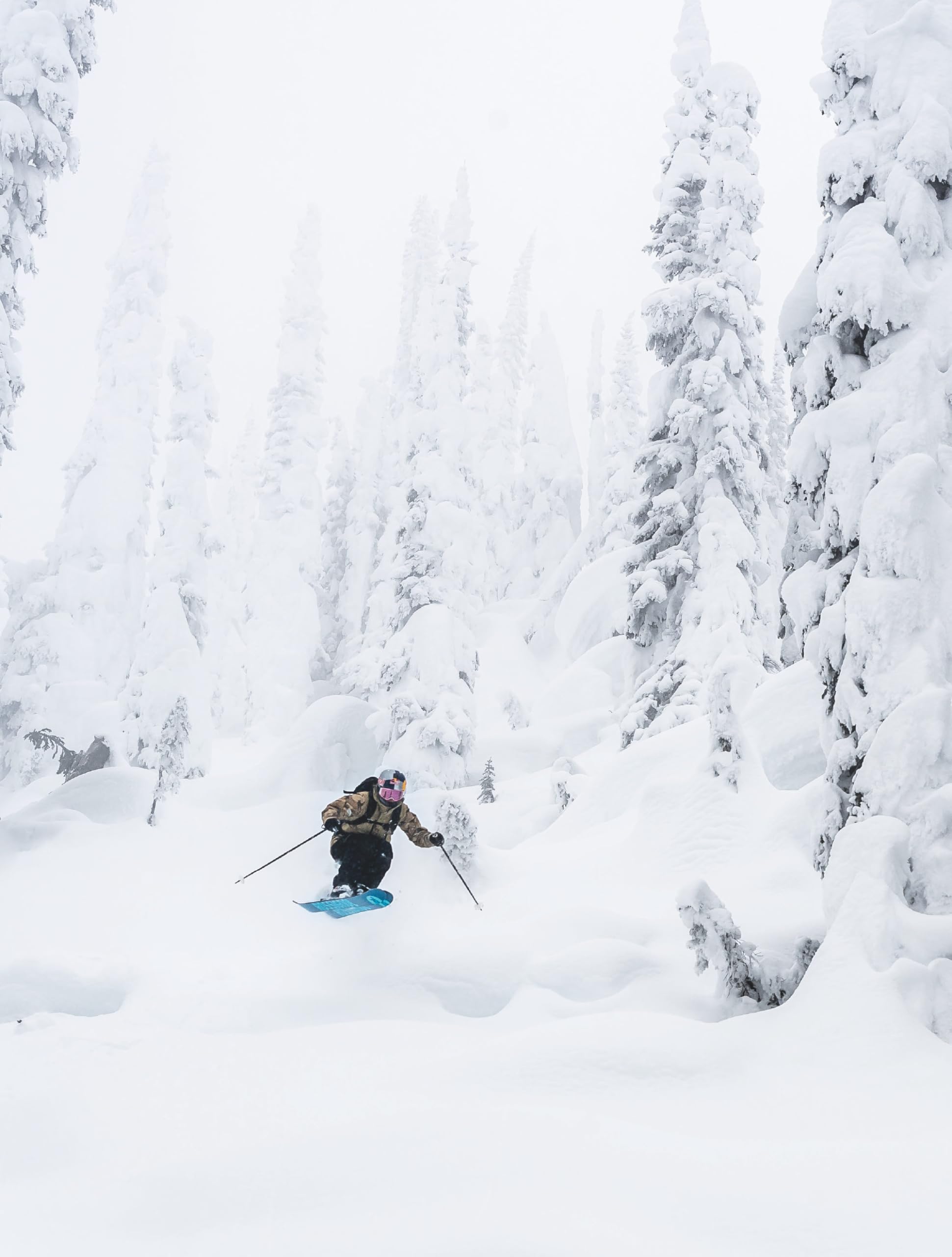 Nées pour skier
