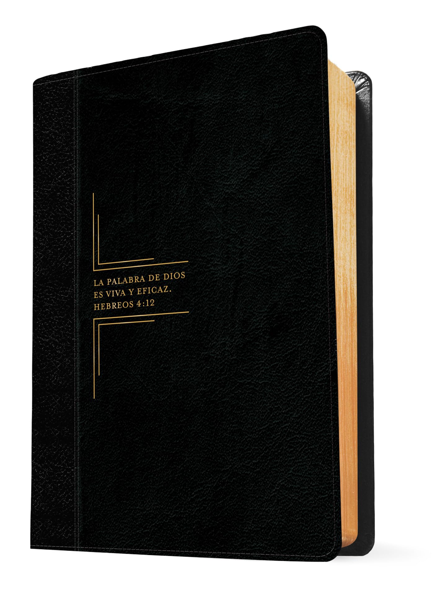 Biblia de Estudio del Diario Vivir Rvr60, Letra Grande (Letra Roja, Sentipiel, Negro/ï½nice): Reina-Valera 1960, negro/onice, sentipiel, letra grande