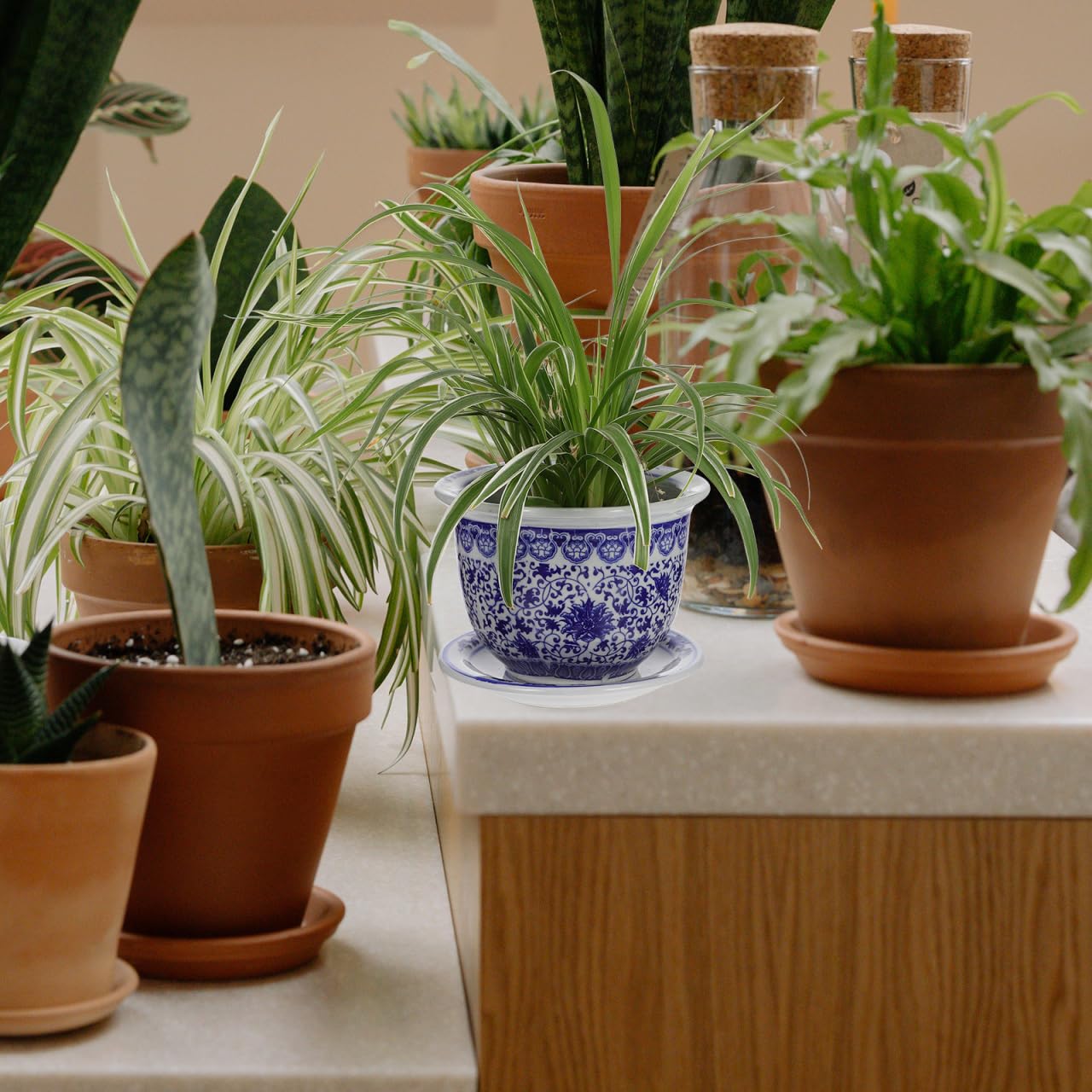 VANZACK Blau-weißer Blumentopf aus Keramik, chinesische Blumentöpfe aus Keramik mit Tablett, dekorativer Blumentopf für drinnen und draußen, Schreibtisch, Garten, Balkon