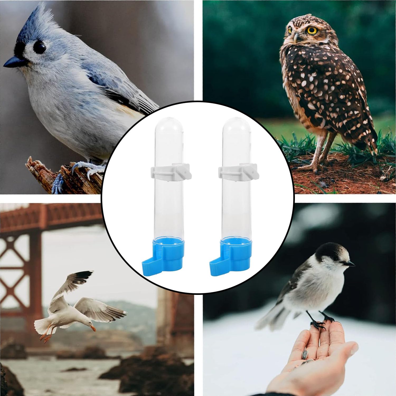2 Pezzi Abbeveratoio per Uccelli, Distributore Acqua Uccelli, Abbeveratoi per Uccelli da Appendere, Dispenser D'acqua per Gabbie per Uccelli, per Pappagalli, Pappagallini