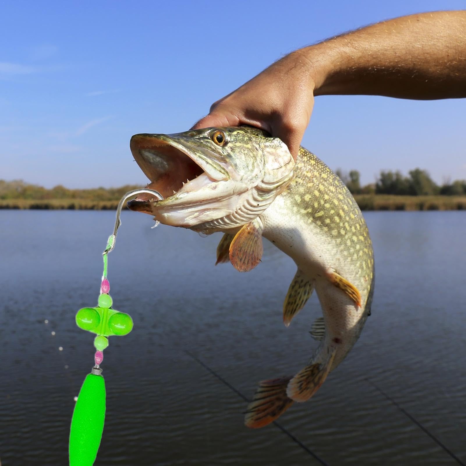 Terminali Da Pesca Per Pesce Gatto - Set 3 Galleggianti EVA Fluorescenti, Attrezzatura Portatile - Foto 9