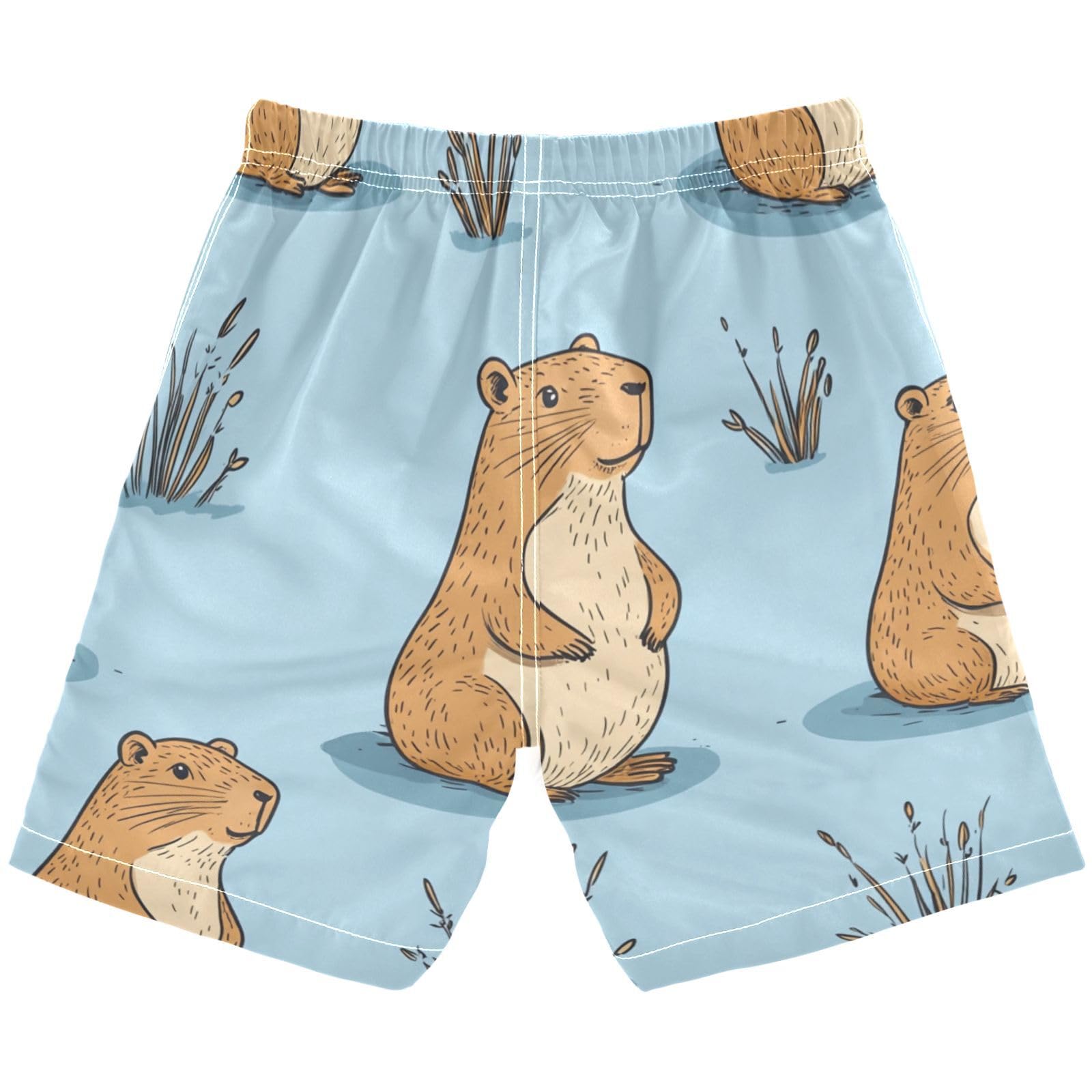 Jucciaco Boys Beach Board Shorts Animal Capybara Cartoon Swim Trunk Teen Swimwear Multicolor