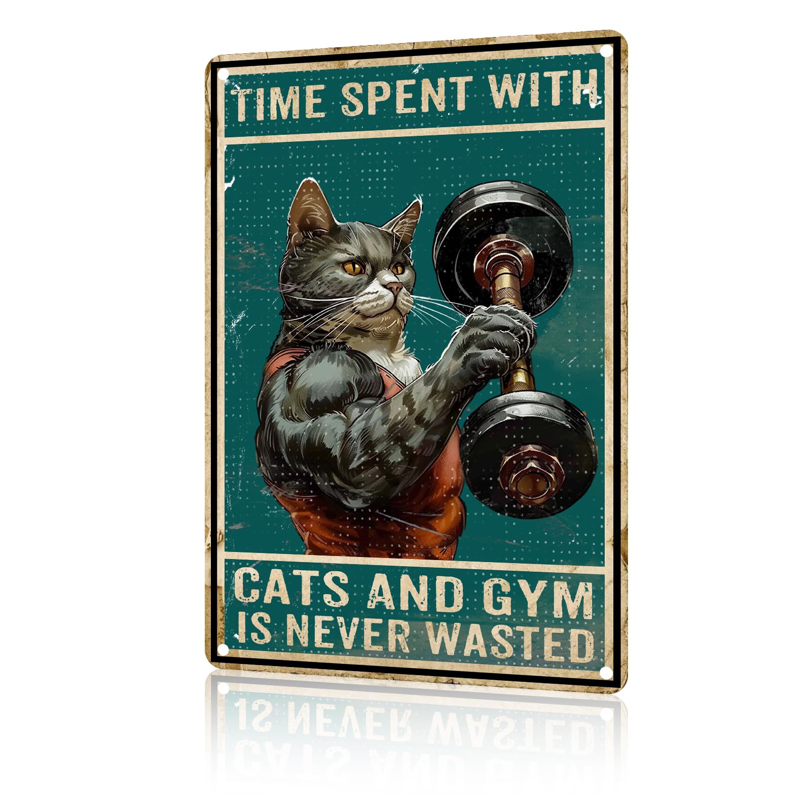 Anceky Aluminum Metal Signs Time Spent With Cats And Gym Is Never Wasted Tin Sign for Home Kitchen Retro Decor Yard Garden Outdoor 12×8 Inch