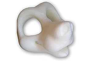 Sam's Canine Kemono Fursuit Head