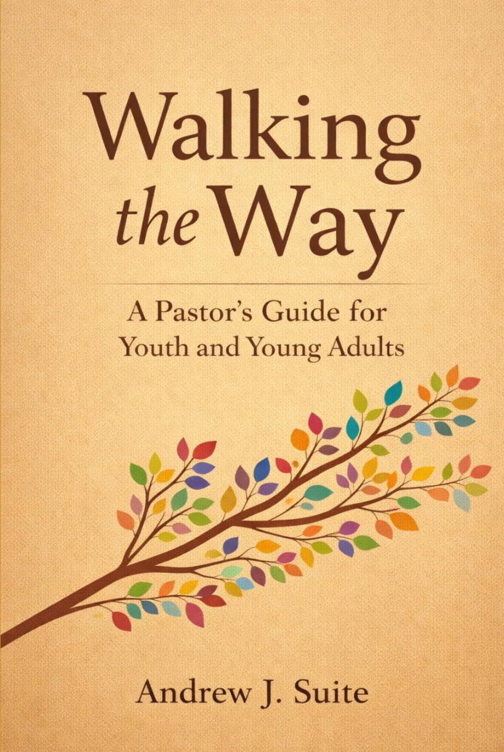 Walking the Way: A Pastor’s Guide for Youth and Young Adults: A United Methodist Pastoral Companion for Youth and Young Adults: Faith, Identity, Doubt, Calling, Following Jesus in a Distracting World