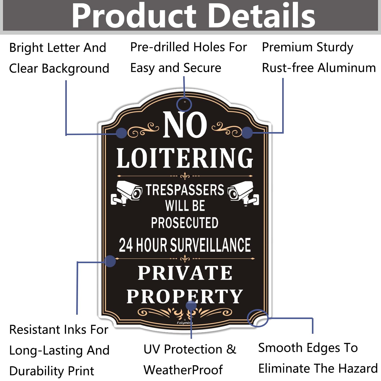 Paquete de 2 letreros de propiedad privada No Loitering Private Property 24 Hour Surveillance Trespassers Will Be Prosecuted de 10 x 14 pulgadas, letreros de propiedad privada de metal reflectante,