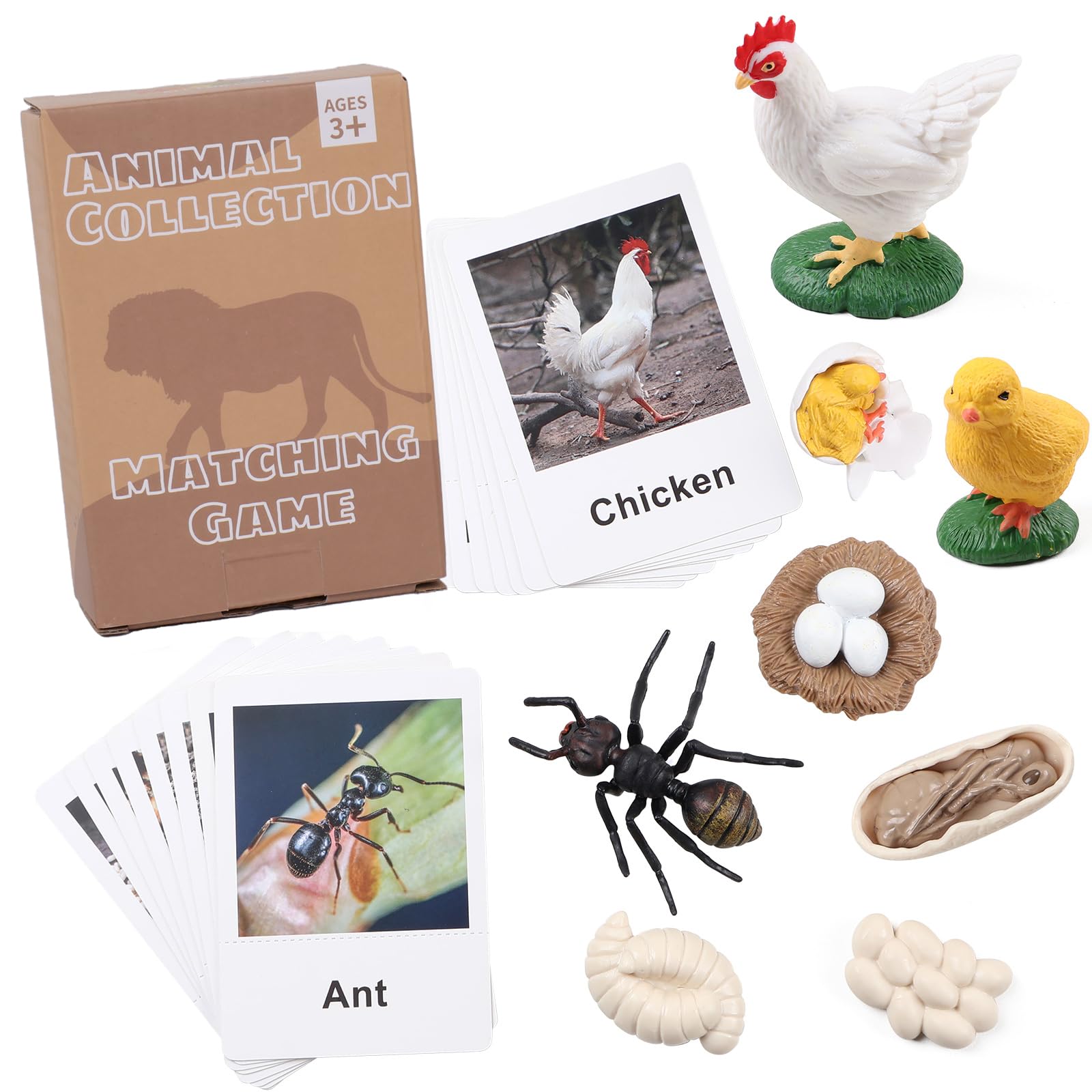 MEROCO Chicken Life Cycle Toys for Kids Insect Ant Bug Toys for Kid 3-5 Animal Flashcards with Figurines Preschool Science Toy for 3-5 Matching Game Science Animals Learning & Education
