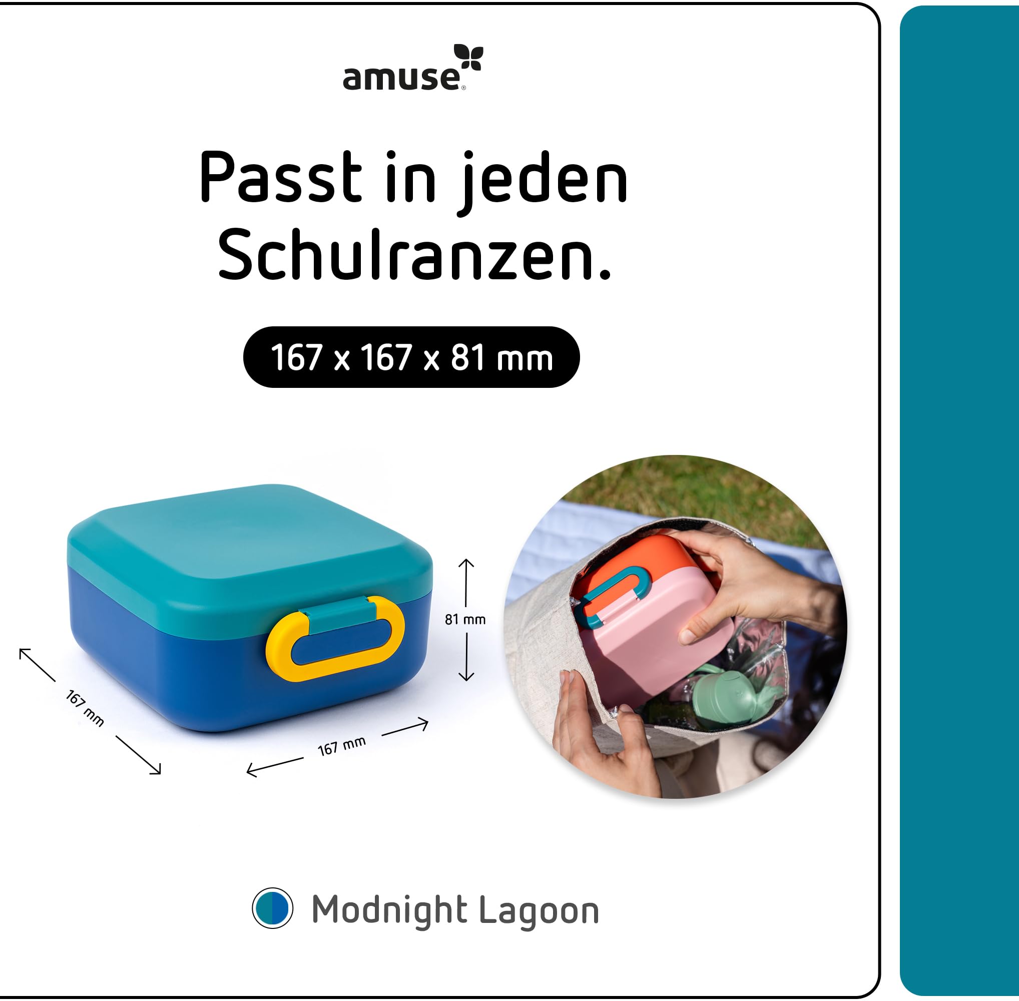 Amuse Rikko Brotdose Kinder mit Fächern | Bento Box inkl. Snackbox mit Fächern | Lunchbox Kinder, Brotdose Kindergarten, Brotbüchse Vesperbox, Brotzeitbox, Brotbox, Jausenbox | Vesperdose mit Fächern