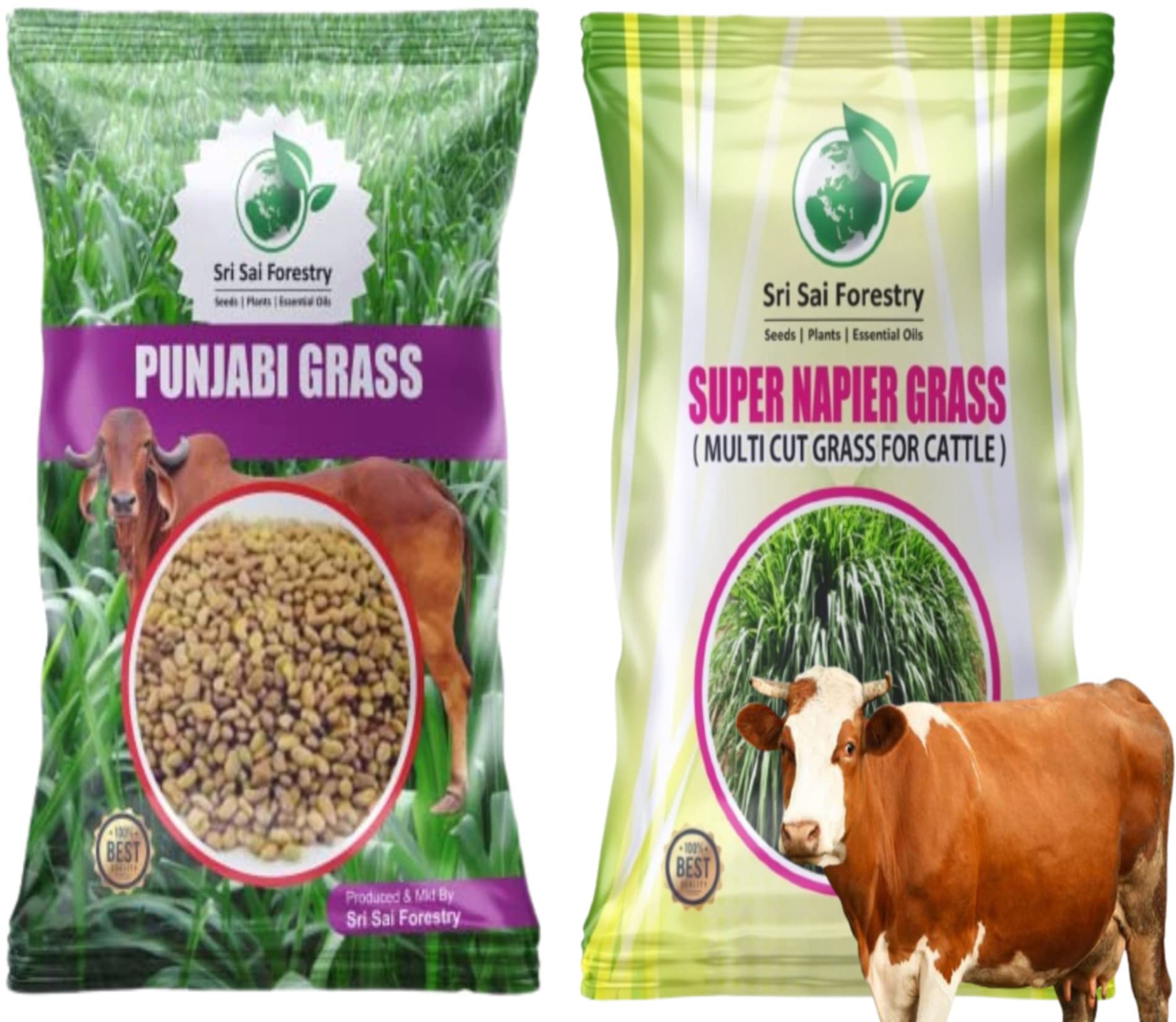 Sri Sai Forestry Super Napier | Super Punjabi Grass Seeds | Combo Pack - 100g Each | Animal Fodder High Yield Multi Cut Grass Seed (B0C17P96QW) Amazon Price History, Amazon Price Tracker