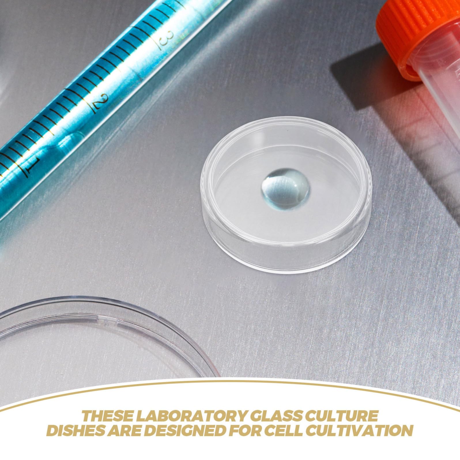 GALPADA Piastre Petri in Vetro Trasparente con Coperchi da 90mm 10 Pezzi Resistenti a Temperature Alte e Basse, per Esperimenti di Laboratorio e Studi Micologici