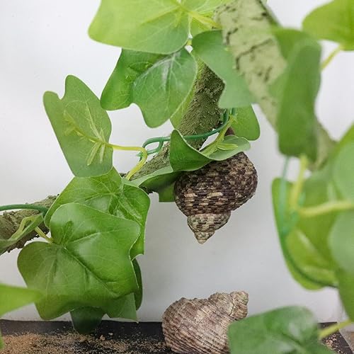 Miniatura 5 de Oooct Juguetes trepadores de cangrejo ermitaño de 39.4 pulgadas, suministros de cangrejo ermitaño flexibles, juguetes de enredaderas de reptiles,