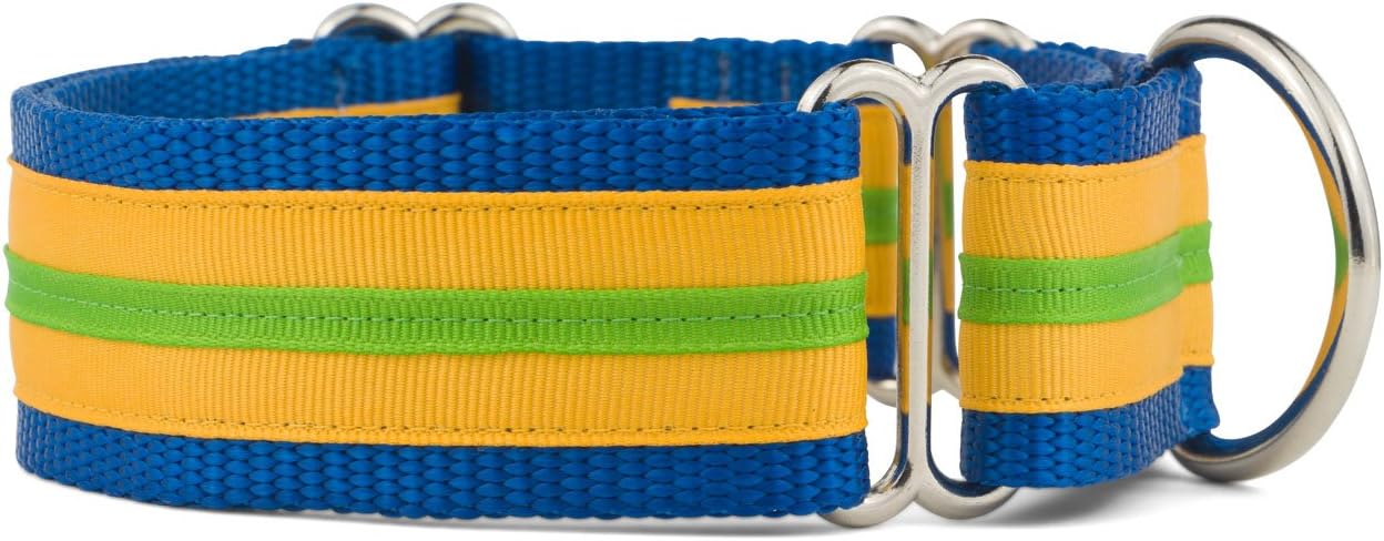 If It Barks - 1.5" Martingale Collar for Dogs - Stripe Design - Adjustable - Strong and Comfy Nylon - Ideal for Training - Made in USA - Large, Yellow Gold/Apple