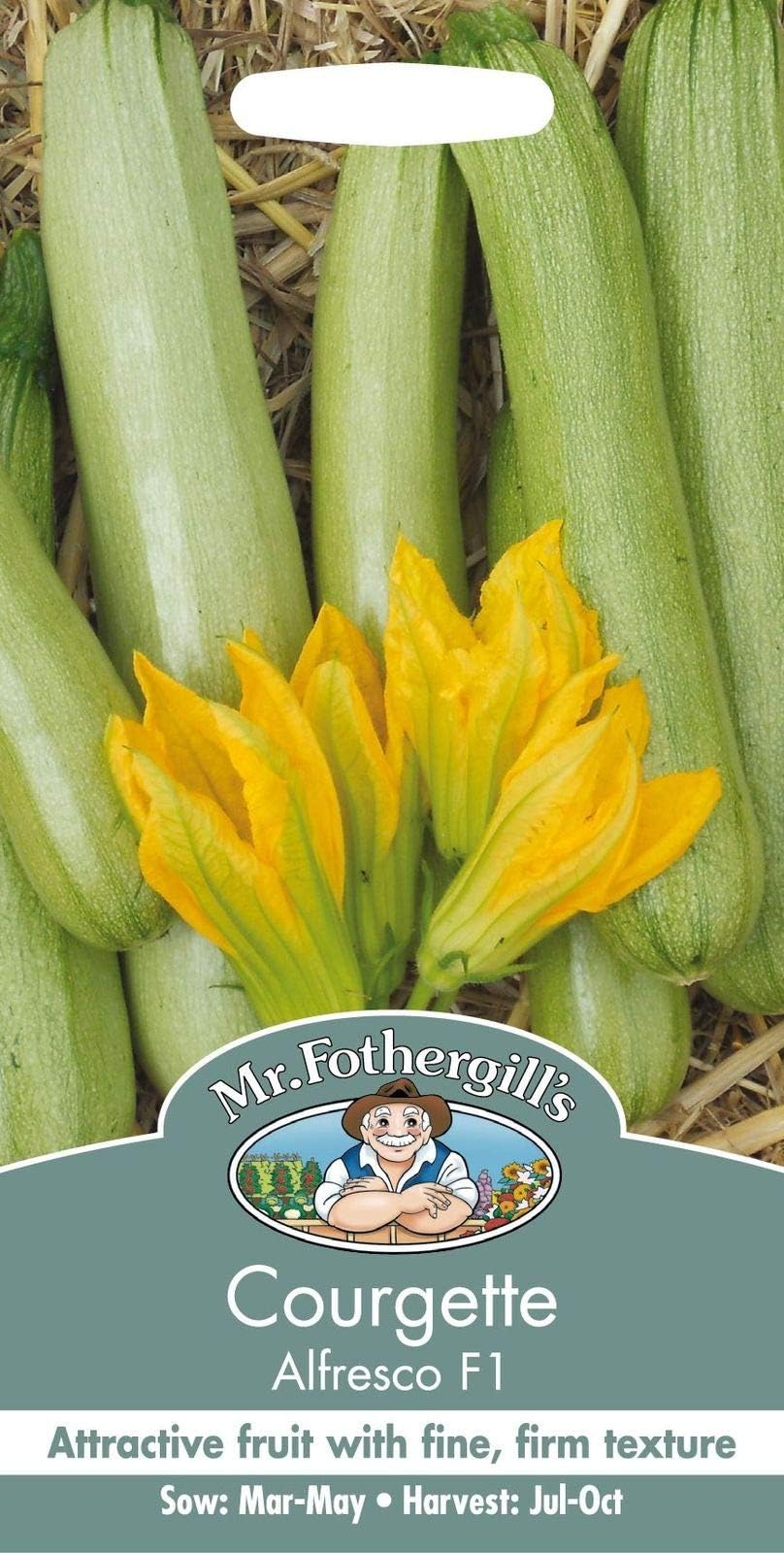 Mr Packet pittorica Vegetale Zucchine Alfresco F1 10 Semi