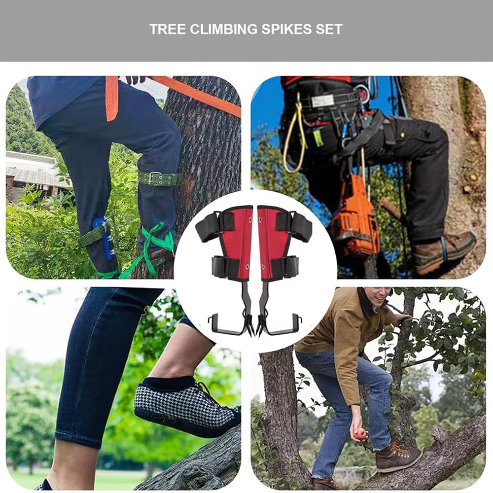 Arbres Crampons d'arbre à l'escalade,Équipement d'escalade des Arbres,Chaussures d'escalade d'arbre,Simple à Utiliser avec Gants et Sangles de Pied pour cueillir des Fruits, grimpe Arbre et Sports