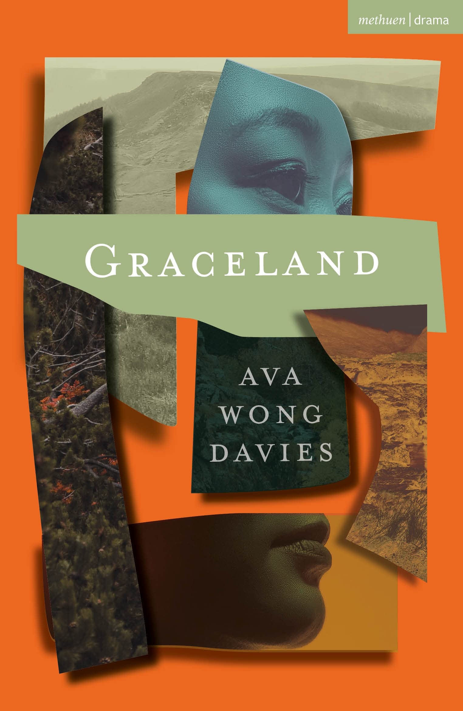 Graceland by Ava Wong Davies PAPERBACK 9781350409279
