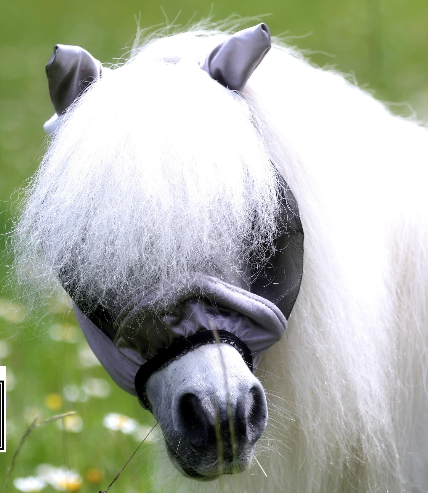 Fliegenmaske ohne Nasenteil MIT Ohren Fliegenhaube Lissy Minishetty Mini Shetty viel Augenfreiheit! Tysons Minipony Falabella Fliegenschutz (Minishetty, Grau - Schwarz)