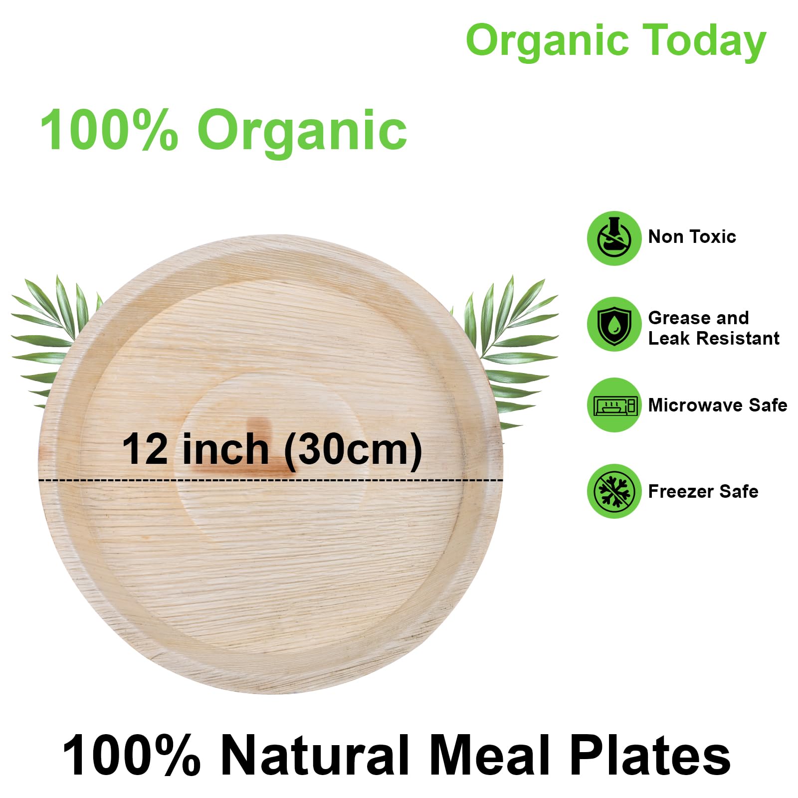 Palm Leaf Dinner Plates - 24 Pack -2 Palm Leaf Dinner Plates - 24 Pack -2