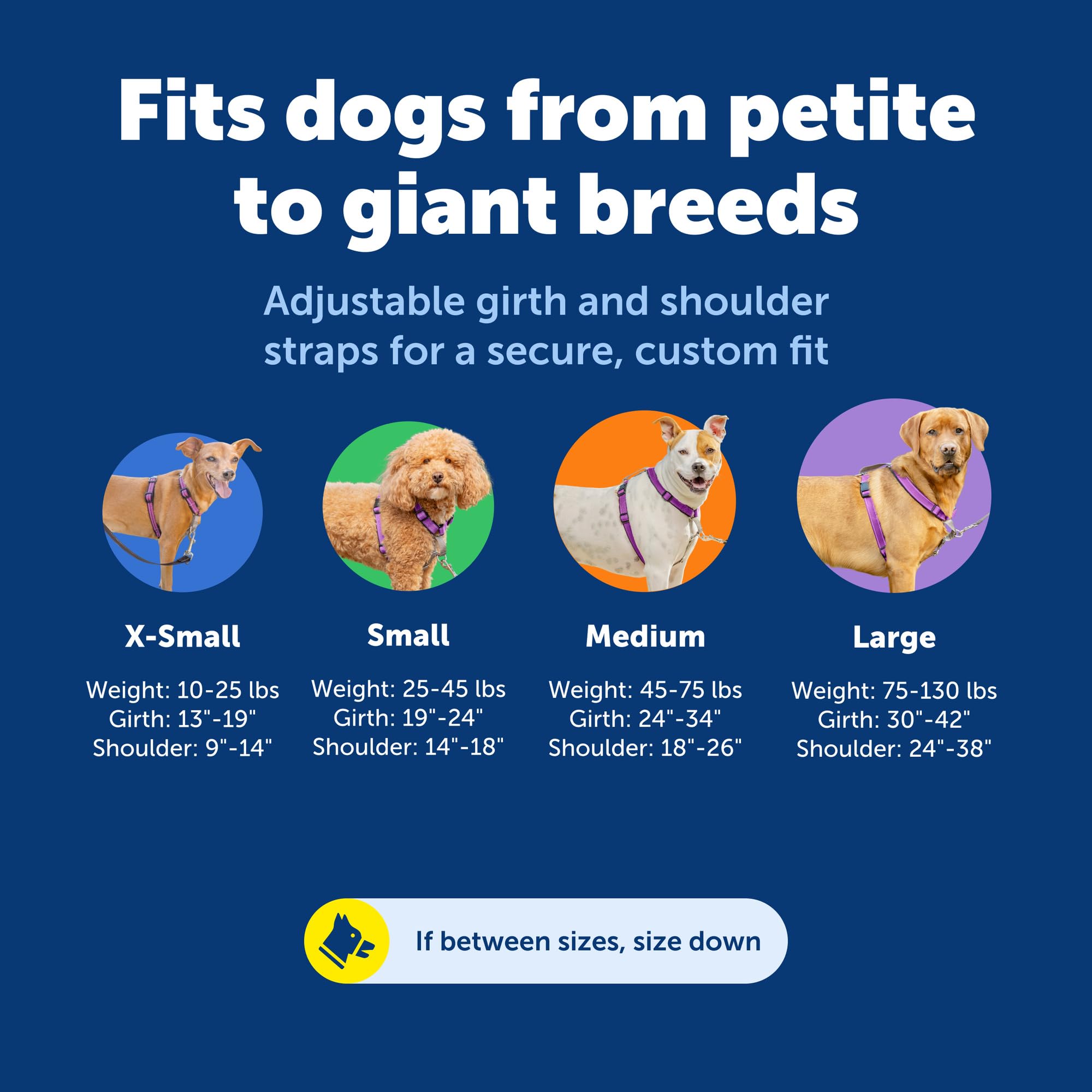 PetSafe Uprząż 3 w 1 i urządzenie przytrzymujące samochód, średnie, śliwkowe, bez ciągnięcia, regulowane, trening dla małych/średnich/dużych psów