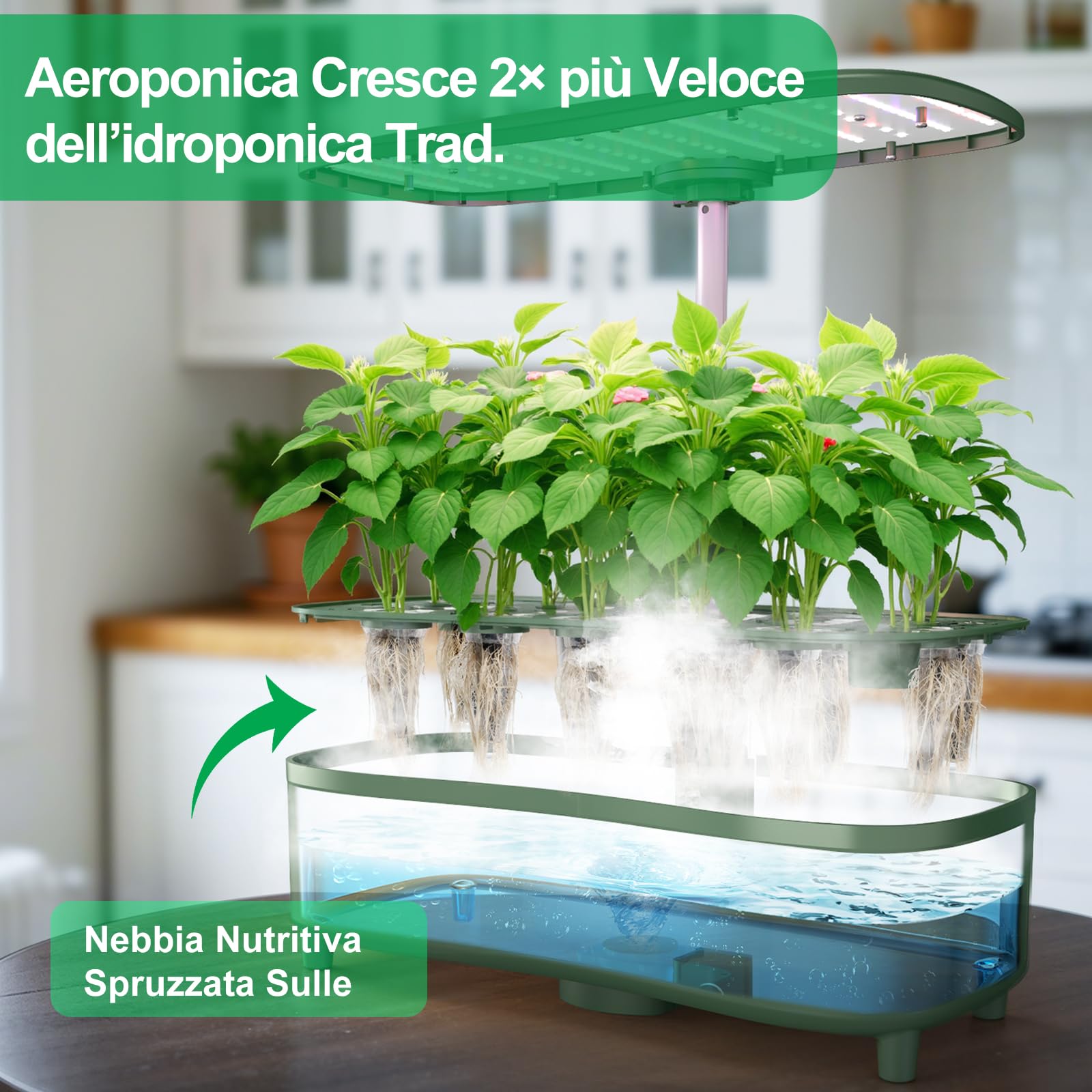serra idroponica, kit giardino di erbe da interno, 15 baccelli, Smart Garden con timer automatico, con Luce di crescita LED a spettro completo, altezza regolabile fino a 20", serbatoio da 5L