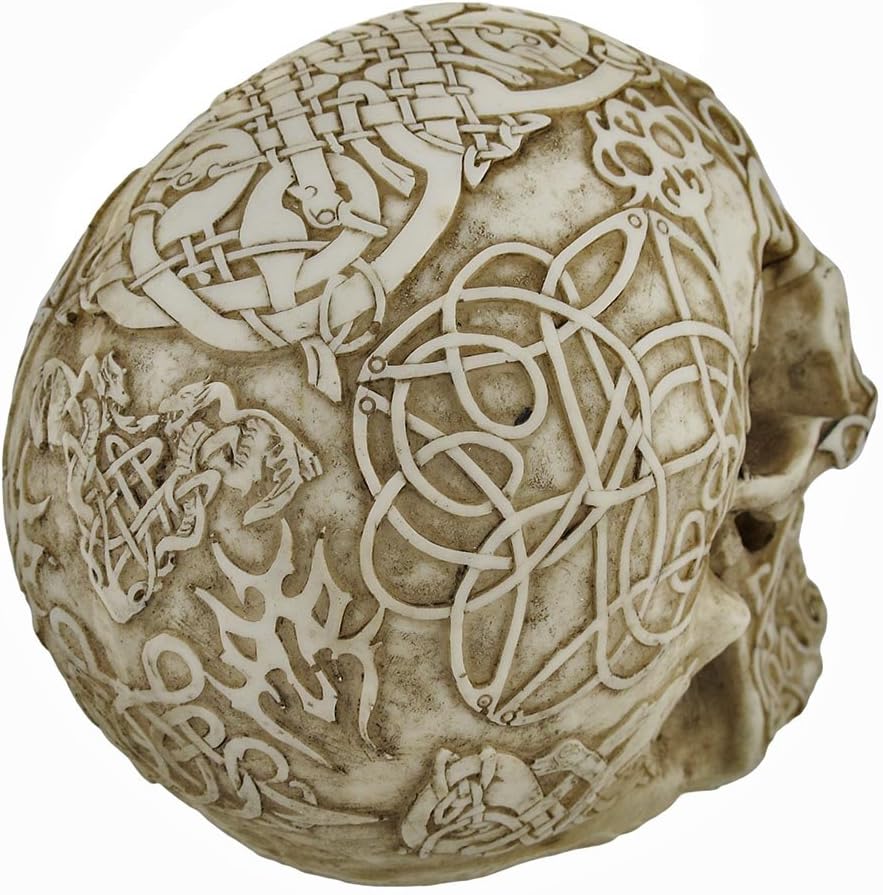 Celtic Owl Knotwork Human Skull Statue Pagan by Private Label