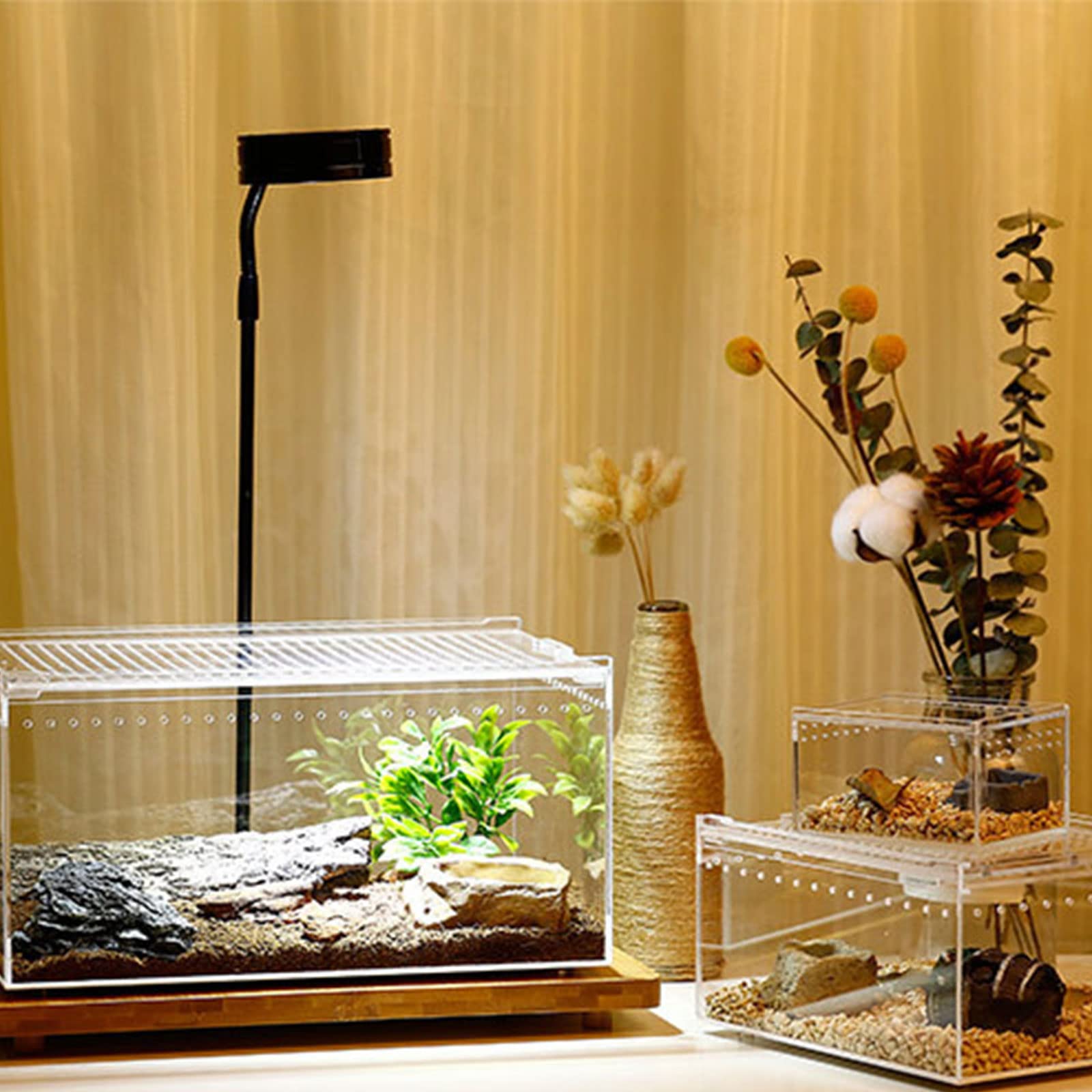 Tank pająki żółwie jaszczurki przezroczyste zaprojektowane pudełko hodowlane pokrywka do wiwarium produkt dla zwierząt terrarium podłoża do dekoracji zbiorników