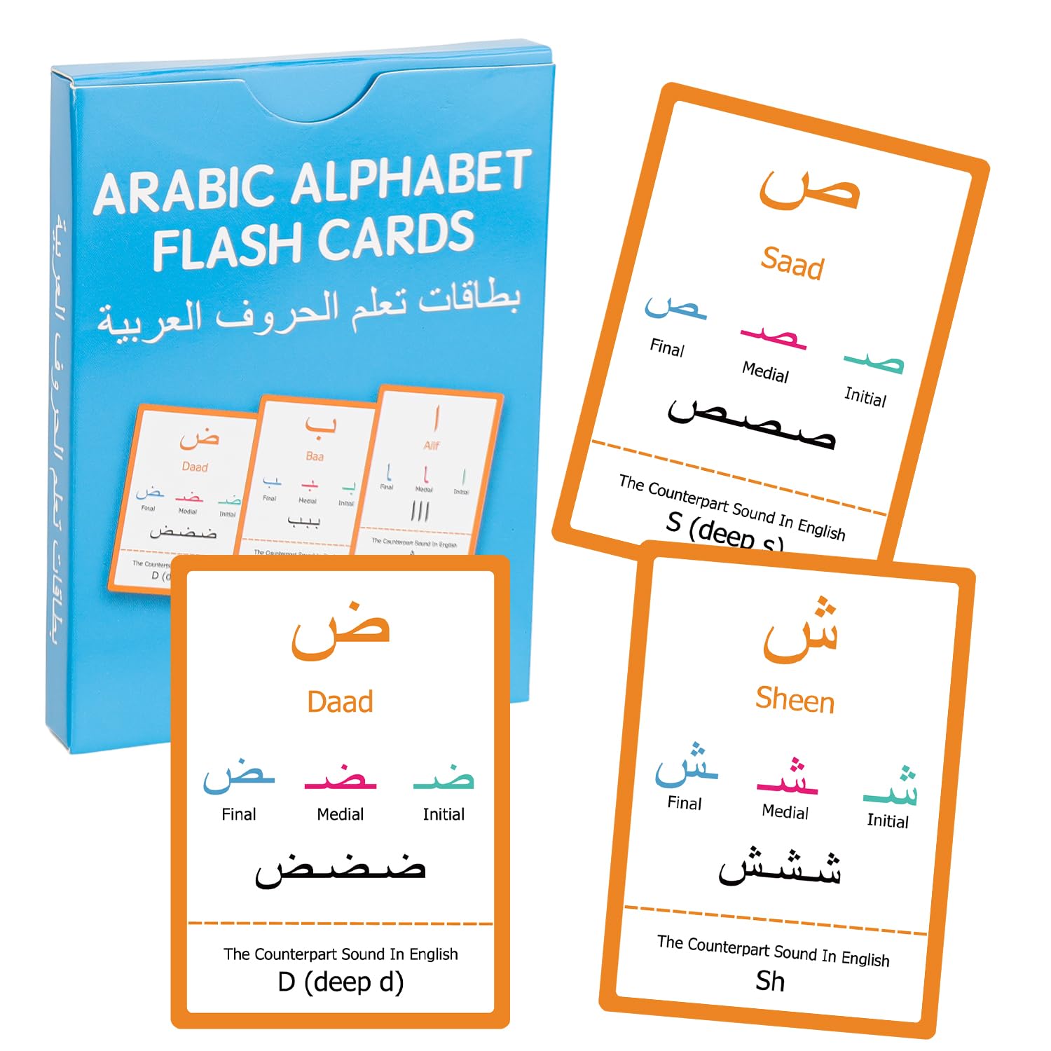 28pcs Arabic Alphabet Flashcards, Learn Arabic Alphabet for Beginner, Educational Language Learning Resource for Grade School, Classroom, Homeschool Supplies