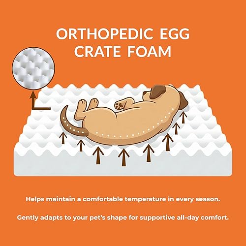 Miniatura 4 de Muihood Colchón de madera con marco de cama para perro, muebles elevados elevados, color blanco, adecuado para un peso de hasta 40 libras