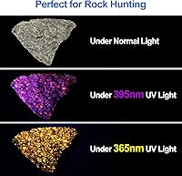 Vista 4 de Vansky X7 Pro 365nm UV Light Linternas de luz negra: linterna LED negra linterna ultravioleta profesional detector de orina de mascotas para perros