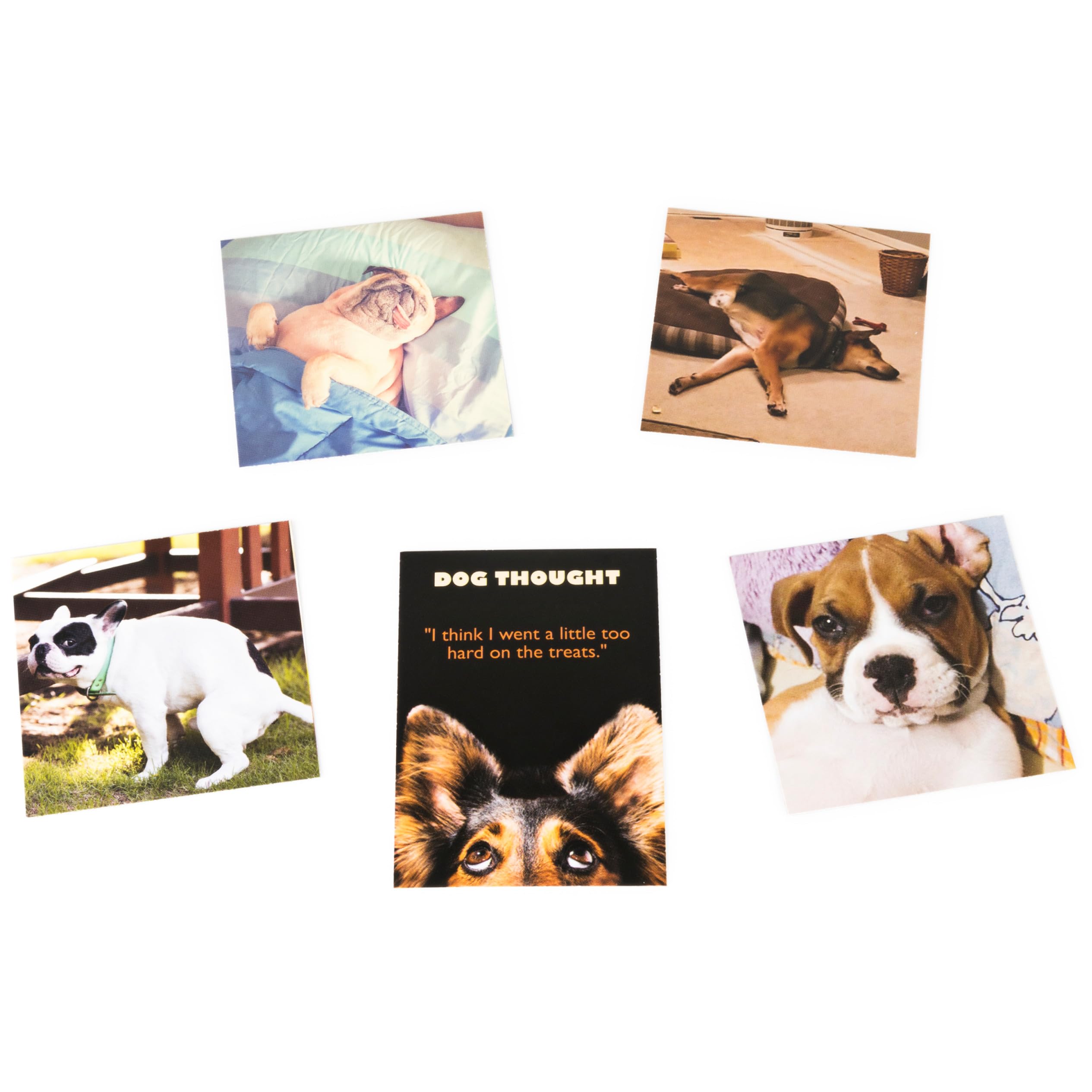 The Dog Game, Hilarious Family Game with Doggos, for Ages 8 and Up