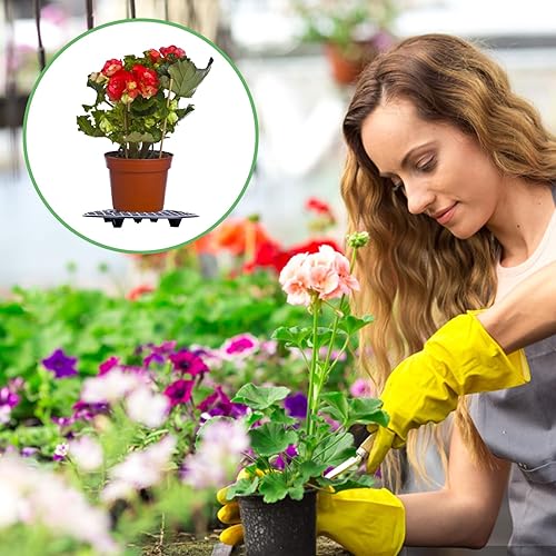 Miniatura 7 de Toothbace 6 elevadores de macetas a nivel de plantas, platillo de maceta de 11.8 pulgadas, cubierta redonda, protector de piso, soporte para