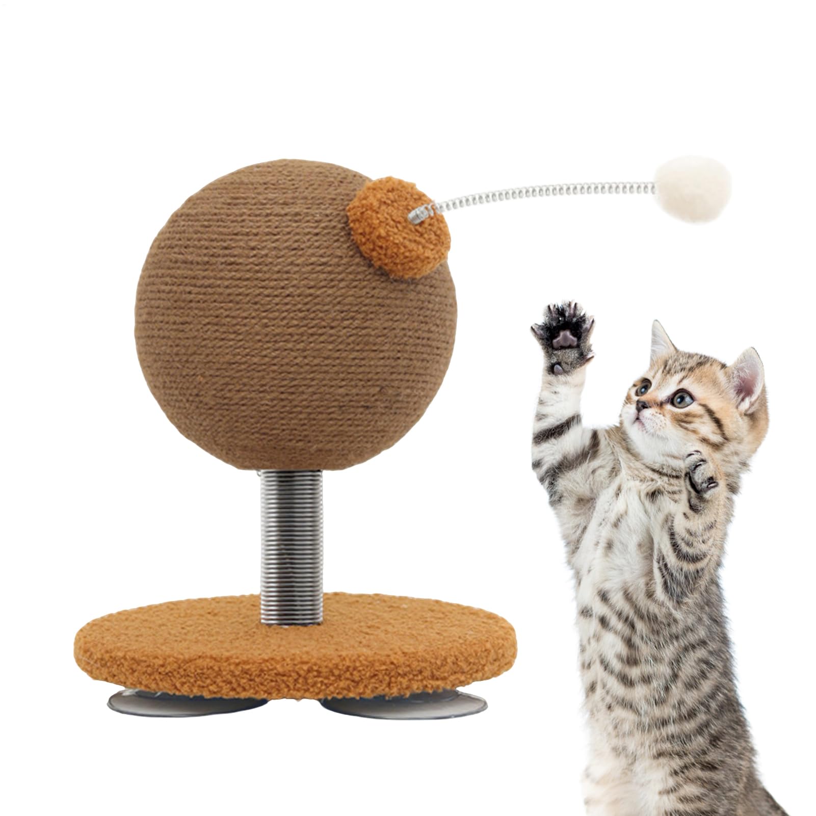Boule à griffer pour chat et chaton avec ventouses stables pour salon