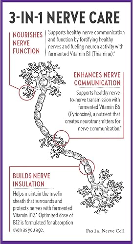 Miniatura 8 de New Chapter Suplemento de salud nerviosa para apoyo 3 en 1 de la cabeza a los pies - La vitamina B1 genera energía para los nervios, la vitamina B6