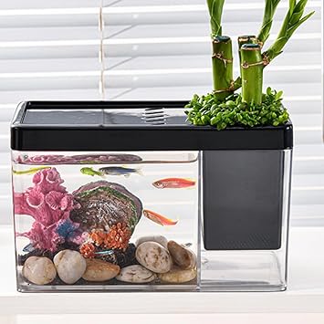 Betta Aquarium, Small Transparent Aquarium, Miniature Landscape Transparent Desktop Fish Tank For Sea Monkeys Shrimp Snails