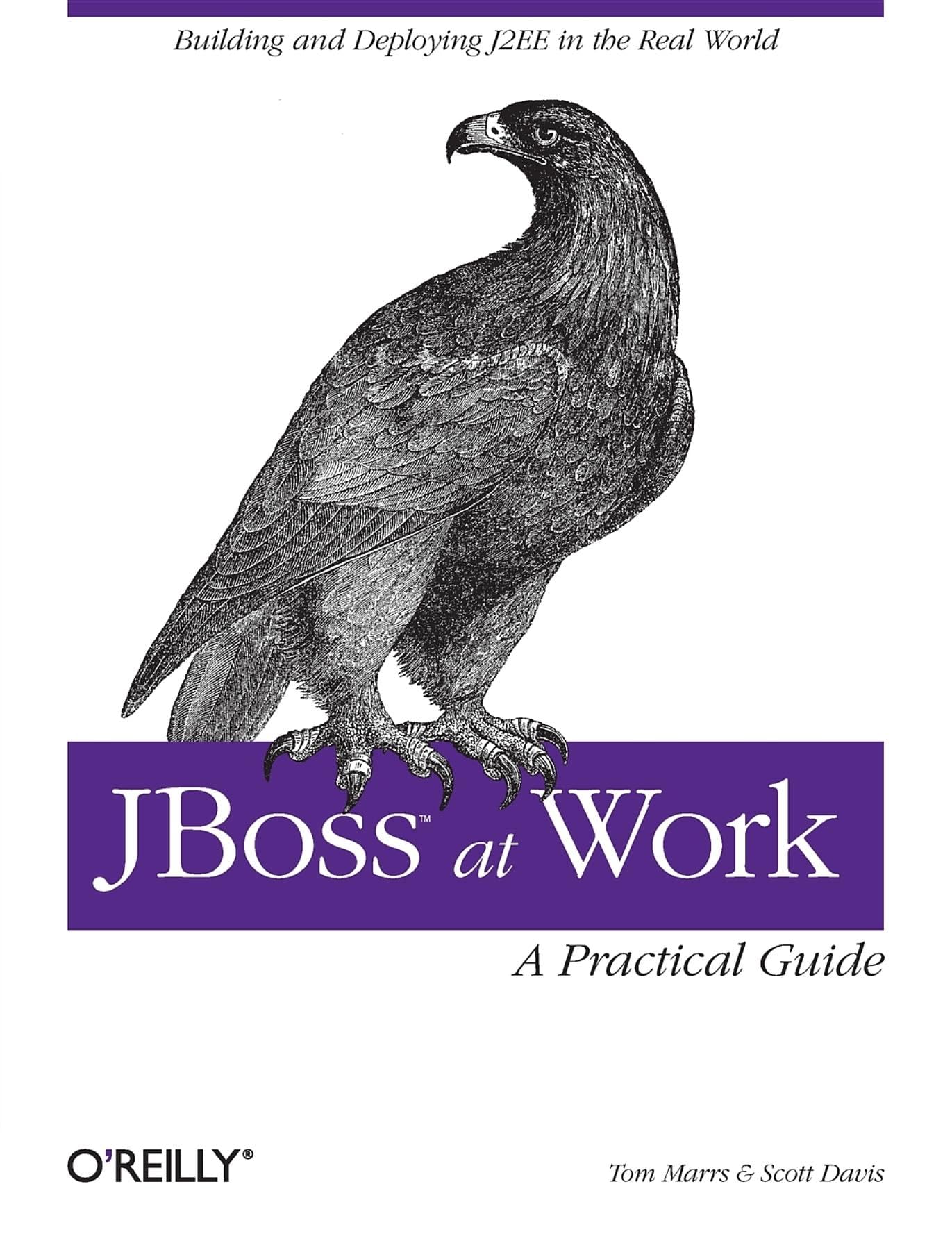JBoss at Work: A Practical Guide