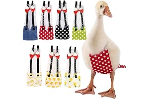 Bonaweite Poultry Diapers: The Ultimate Hygiene Solution for Silky Chickens