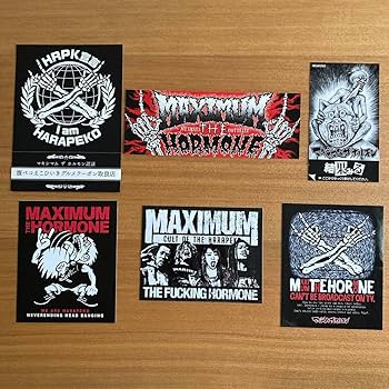 マキシマムザホルモンCD10枚まとめ売り+ステッカー8枚セット！ マキシマムザホルモンCD10枚まとめ売り+ステッカー8枚セット！