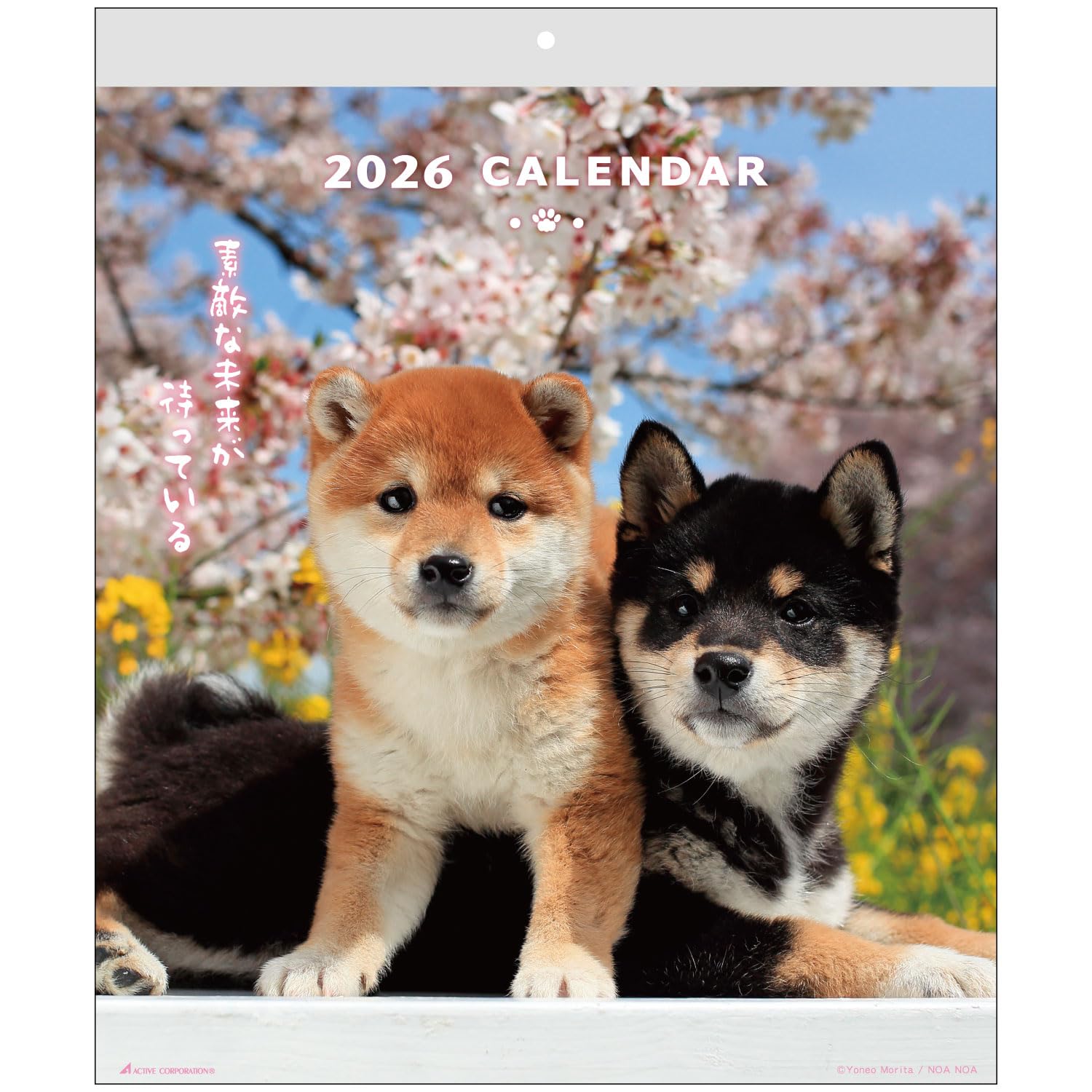 Amazon.co.jp: アクティブコーポレーション: DOGシリーズ